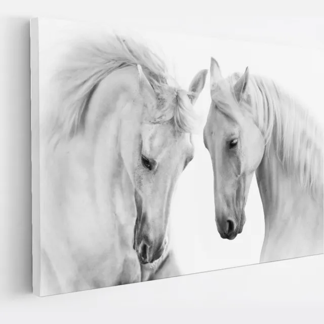 Saammp Canvas Schilderij - 2 Paarden - Liefdevol - Natuur - Dieren - 70x50 - Foto op canvas - Wanddecoratie - Muurdecoratie Woonkamer - Slaapkamer decoratie - Canvas Print Multicolor
