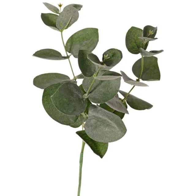 Driesprong Collection Eucalypyussteek x3 28 cm kunstbloem zijde nepbloem Driesprong Colle... onbekend