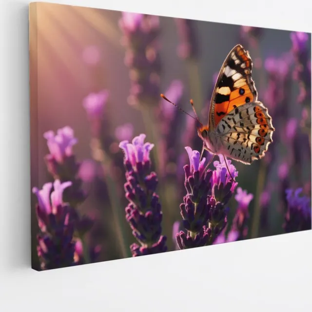 Saammp Canvas Schilderij -Vlinder op lavendel bloem - Dieren - 120x80 - Foto op canvas - Wanddecoratie - muurdecoratie Woonkamer - Slaapkamer decoratie - Canvas Print Multicolor