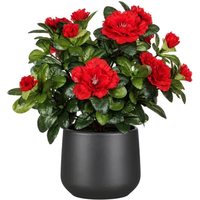 Mica Decorations Kunstplant - Azalea rood - H27 cm - in antraciet bloempot - keramiek - complete set van pot en plant - decoratie stuk