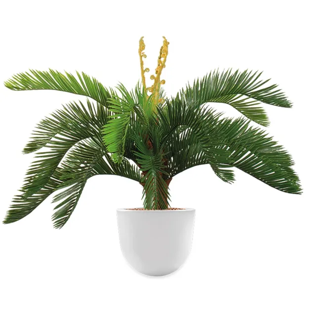 HTT Decorations Kunstplant Cycas in Eggy H70 cm Taupe