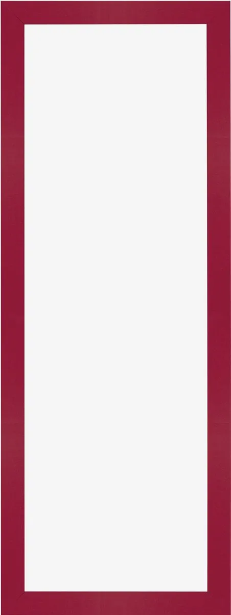 Dutch Frame Factory Fotolijst 33x98 cm - MDF - Rood - Benno
