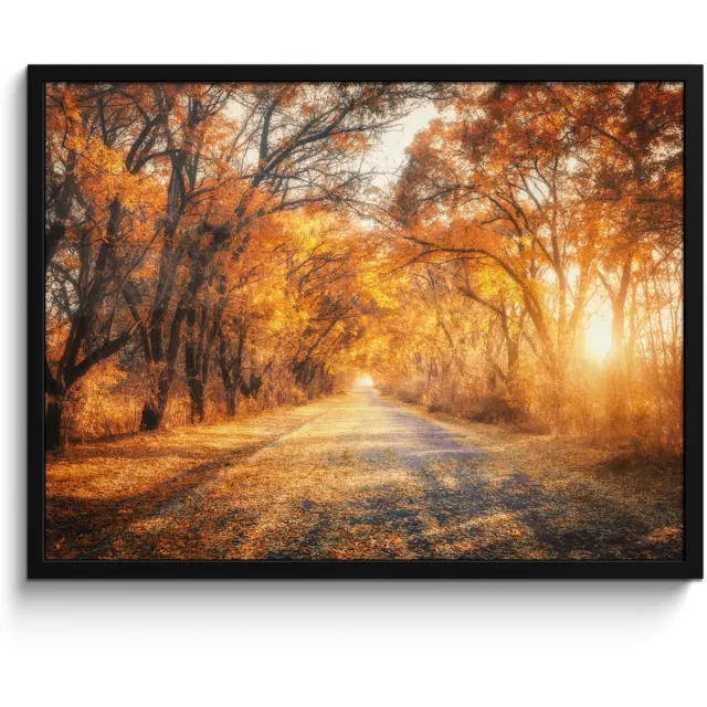 FrameYourWall Poster in lijst - Fotolijst 70x50 cm - Posters - Bos - Herfst - Bomen - Bospad - Natuur - Posterlijst zwart - Decoratie - Wanddecoratie woonkamer - Muurdecoratie slaapkamer Oranje