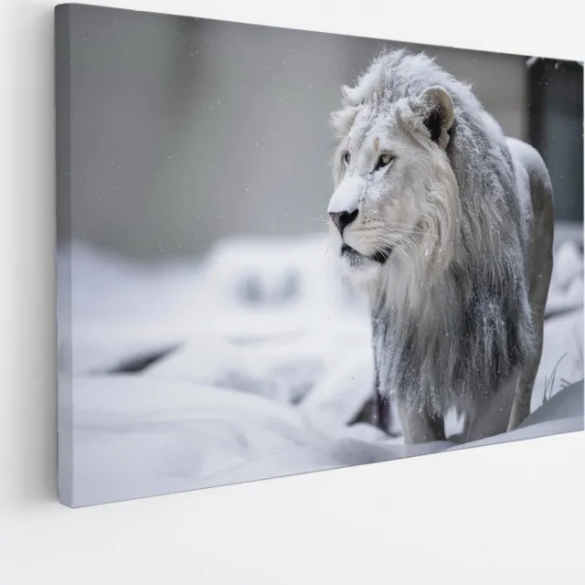 Saammp Canvas Schilderij - Leeuw in de sneeuw - Dieren - Natuur - 100x75 - Foto op canvas - Wanddecoratie - Muurdecoratie Woonkamer - Slaapkamer decoratie - Canvas Print Multicolor