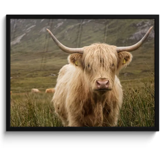 FrameYourWall Poster in lijst - Fotolijst 70x50 cm - Posters - Schotse hooglander - Bergen - Grasveld - Posterlijst zwart - Decoratie - Wanddecoratie woonkamer - Muurdecoratie slaapkamer