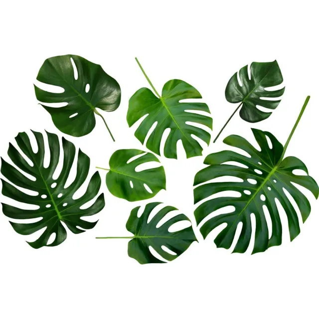 VAN IKKE Muursticker Monstera blad groen