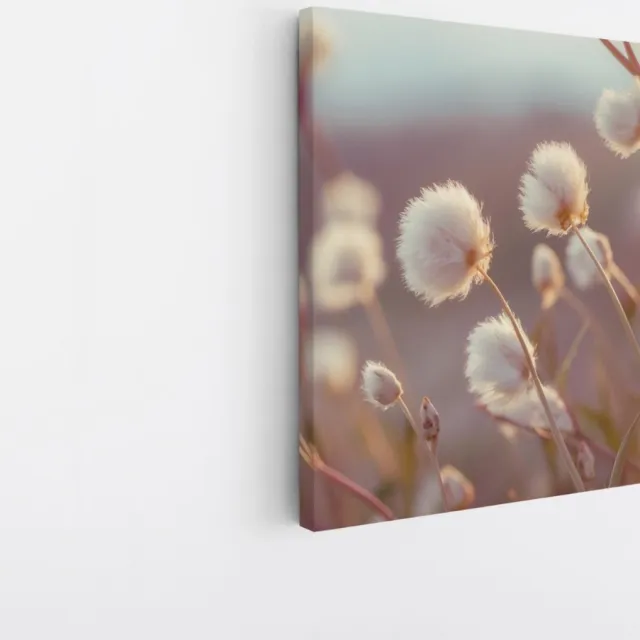 Saammp Canvas Schilderij - Fluffy - Bloemen - Natuur - 20x20 - Foto op canvas - Wanddecoratie - Muurdecoratie Woonkamer - Kantoor Decoratie Multicolor