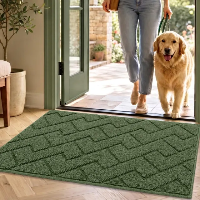 Famanu Binnen deurmatten, schoonloopmat en vuilschraper, antislip en machinewasbaar, waterabsorberend, voor entree, gang, keuken en slaapkamer - 50 x 80 cm Groen