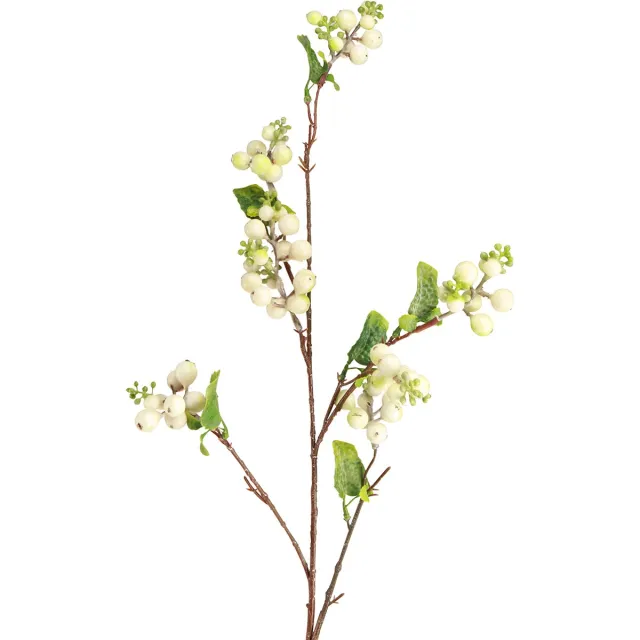 Viana Kunst erwtenstruik sneeuwbes L74cm groente