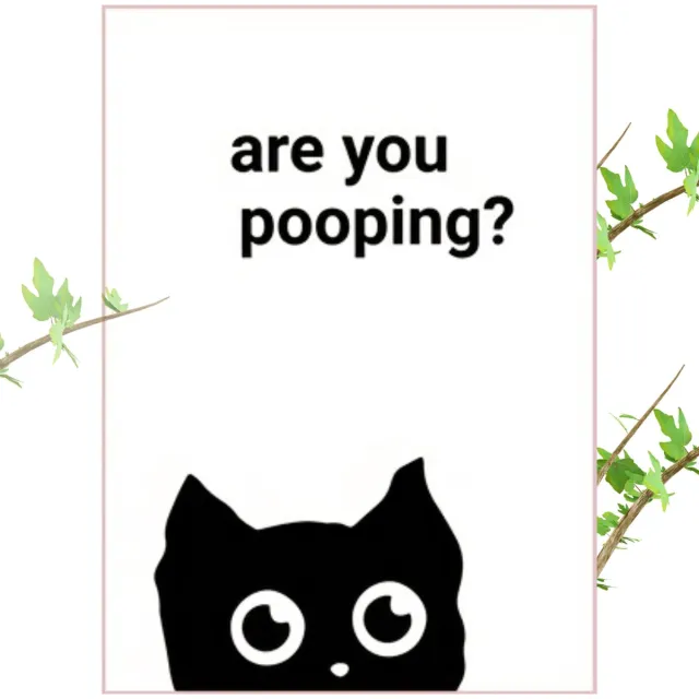 Nivard Are You Pooping Cat - Are You Pooping - Have A Nice Poop - Your Butt Napkins My Lord - Poster - Grappige Poster - 40x56cm Verschillend