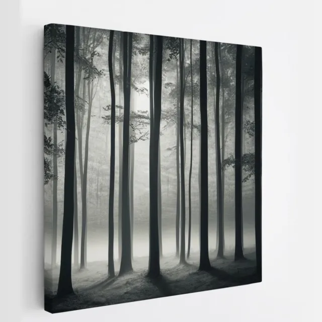 Saammp Canvas Schilderij - Zwart-Wit - Bomen - Landschap - Natuur - 60x60 - Foto op canvas - Wanddecoratie - Muurdecoratie Woonkamer - Slaapkamer decoratie - Canvas Print Multicolor