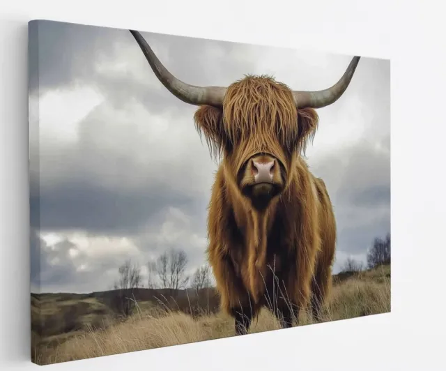 Saammp Canvas Schilderij - Hooglander koe in de wei - Schotland - Natuur - Dieren - 90x60 - Foto op canvas - Wanddecoratie - Muurdecoratie Woonkamer - Slaapkamer decoratie - Canvas Print Multicolor