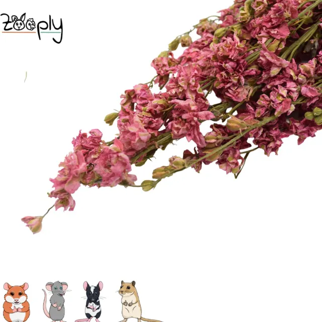 Zooply Ridderspoor - Roze - 70 gram - in koker