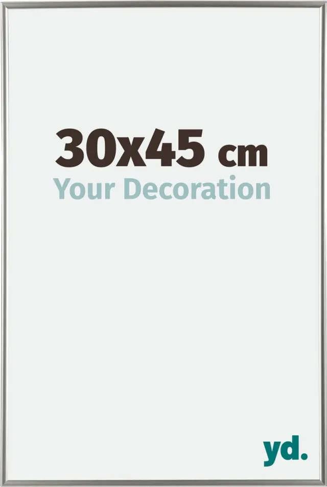 yd. Your Decoration - Fotolijst 30x45 cm - Kunststof - Champagne - Evry