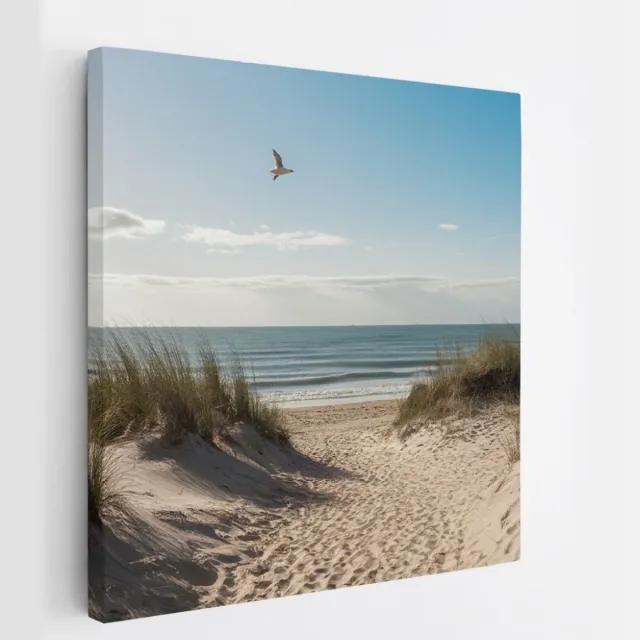 Saammp Canvas Schilderij - Strand En Zee - Vogel - Pad Vanuit de duinen - 60x60 - Foto op canvas - Wanddecoratie - muurdecoratie Woonkamer - Slaapkamer decoratie - Canvas Print Multicolor