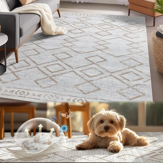 Ibenzoa Stijlvolle Wasbare Deurmat voor Binnen en Buiten met Antislip en Geometrisch Design bruin