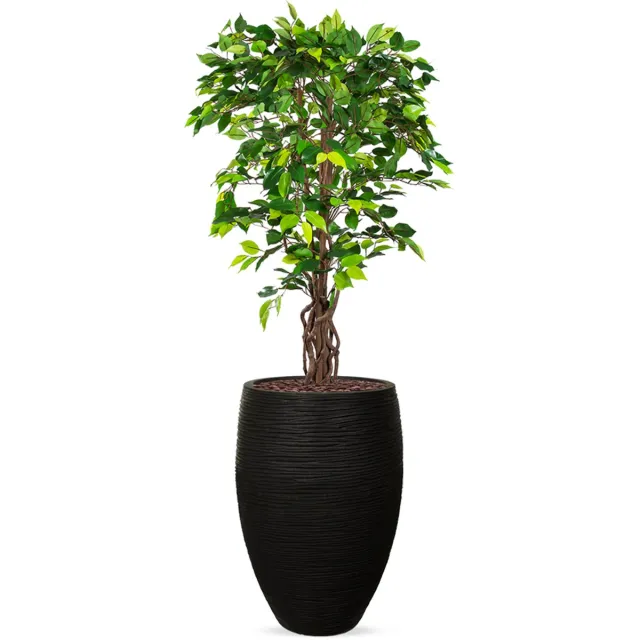 HTT Decorations Kunstplant Ficus in Vaas elegant Deluxe rib zwart H165 cm