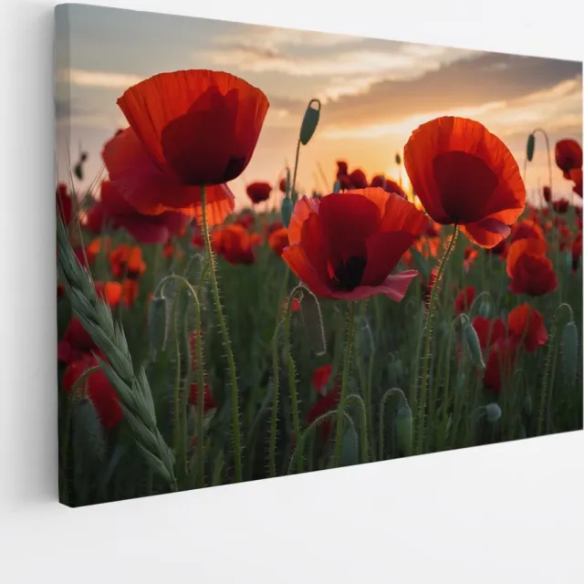 Saammp Canvas Schilderij - Klaprozen - Natuur - Landschap - 30x20 - Foto op canvas - Wanddecoratie - Muurdecoratie Woonkamer - Slaapkamer decoratie - Canvas Print Multicolor