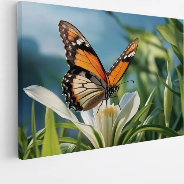 Saammp Canvas Schilderij -Vlinder op witte bloem - Dieren - 45x30 - Foto op canvas - Wanddecoratie - muurdecoratie Woonkamer - Slaapkamer decoratie - Canvas Print Multicolor