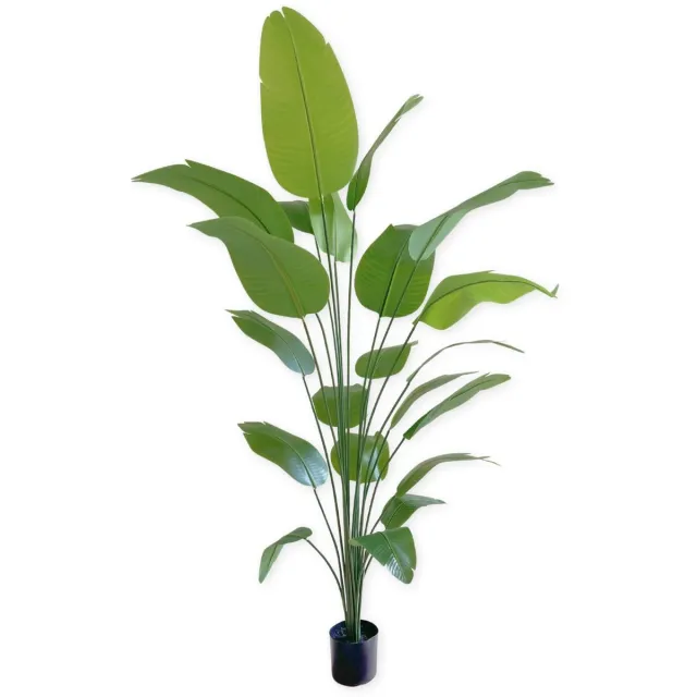 PrettyPlants Bananen Kunstplant 210 cm | Bananenboom Kunstplant | Kunstplanten voor Binnen | Grote Kunstplant | Kunst Bananenplant Groen