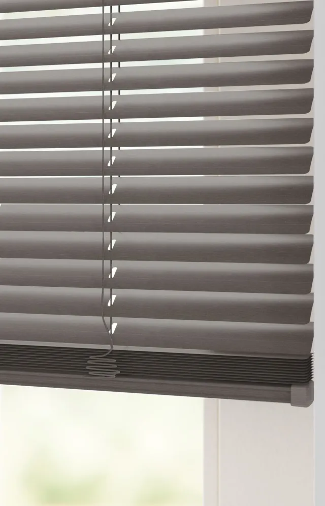 HEMA Jaloezie Aluminium Geborsteld 25mm Metaal (metaal)