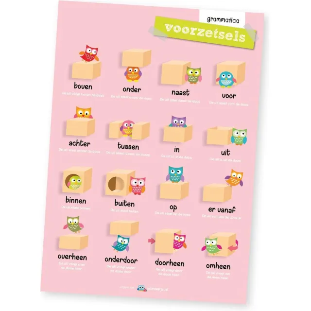 Lesmaatje.nl Poster | Grammatica, voorzetsels Multi colour