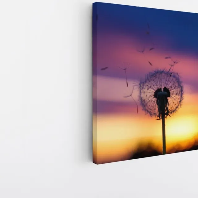 Saammp Canvas Schilderij - Paardenbloem in zonsondergang - Abstract - 60x60 - Foto op canvas - Wanddecoratie - Muurdecoratie Woonkamer - Kantoor Decoratie Multicolor