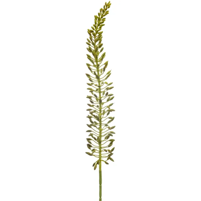 Fleurdirect Kunstbloem Eremurus - Realistische Kunsttak Decoratie - Onderhoudsvrij Groen