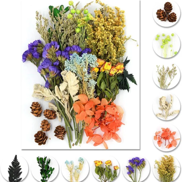Famanu Natuurlijke gedroogde bloemen voor kunst en knutselen 10 stuks