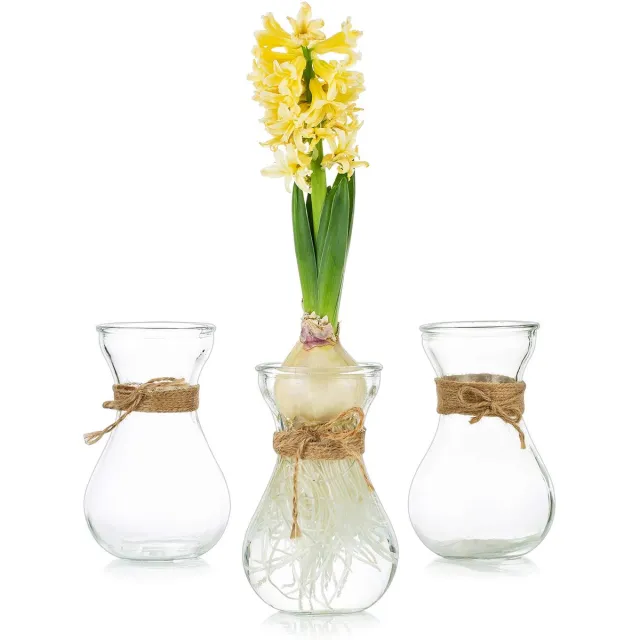 Imperatoris Glazen Vazen / Glazen Flessen – Mini Decoratieve Vaas Flesjes – Helder Glas – Inclusief Strik – 3 Stuks – 8 x 8 x 13.5 cm – Transparant