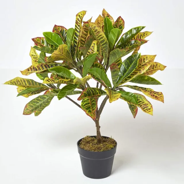 Homescapes kunstplant groen 'Wonder Shrub' in pot, 65 cm Groen-Geel-Rood