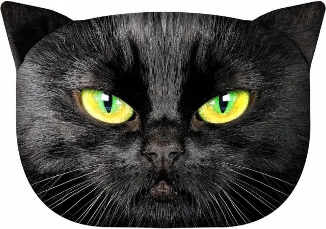 Bertoni Knuffelkussen met kat motief Sierkussen met verborgen ritssluiting en vulling Kussen Nero Multi colour