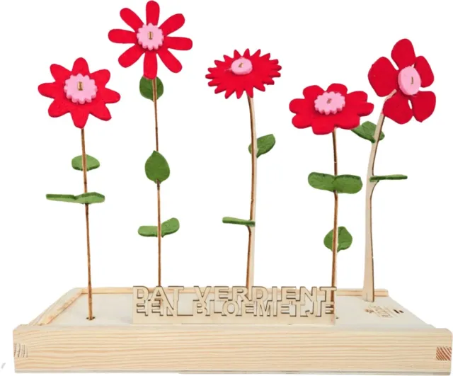 Blooms out of the Box Happy Blooms vilten bloemen – Dat verdient een bloemetje – brievenbus cadeau Rood