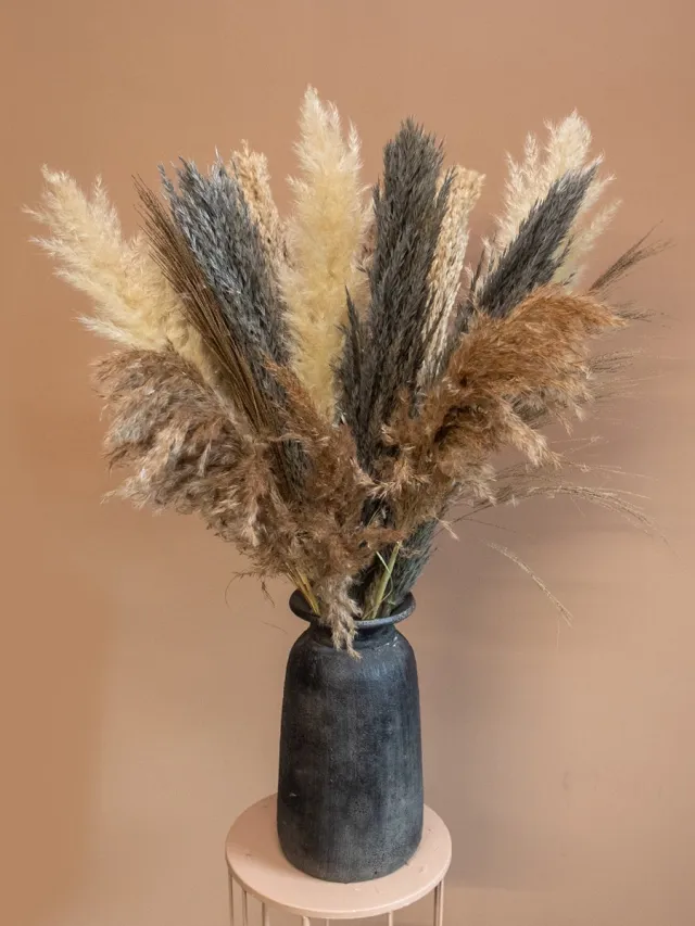 Roselin Deco Droogboeket Grace – Pampas Pluimen – Landelijk Droogbloemen Boeket 80 cm Bruin