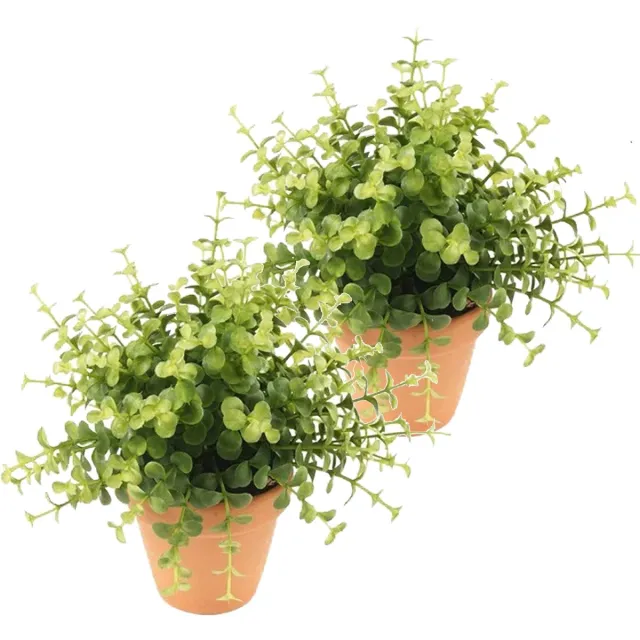 Bellatio Flowers & Plants Kunstplant eucalyptus - 2x - groen - in terracotta pot - 20 cm