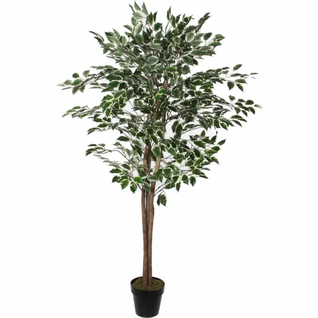 Mica Decorations Ficus Kunstplant - H165 x Ø65 cm - Groen Bont