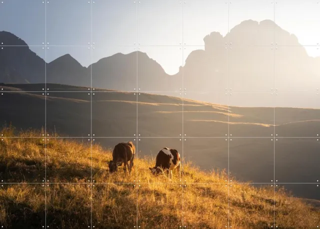 IXXI Trentino Cows in the Dolomites, Claire Droppert - 140 x 100 cm - Grote wanddecoratie en posters - Realisme, Fotografie, Naturalisme, Woonkamer Bruin / Groen