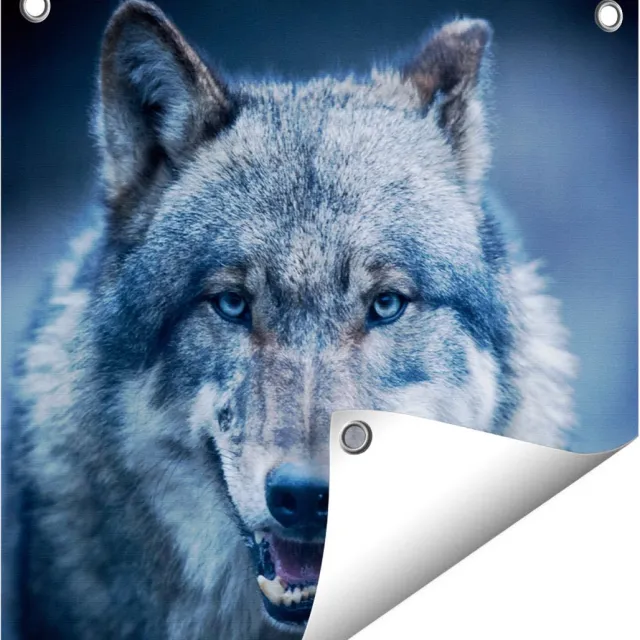 Gards Tuinposter Wolvenkop met Blauwe Ogen - Wolf - 40x40 cm - Tuindoek - Tuindecoratie - Wanddecoratie buiten - Tuinschilderij Multikleur