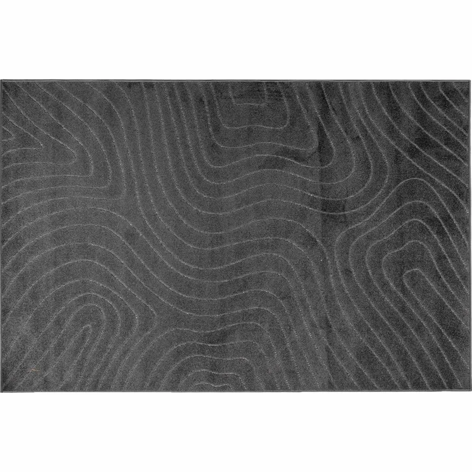 vidaXL Binnen- en buitentapijt PALMERAS Antraciet 240 x 340 cm Anthraciet