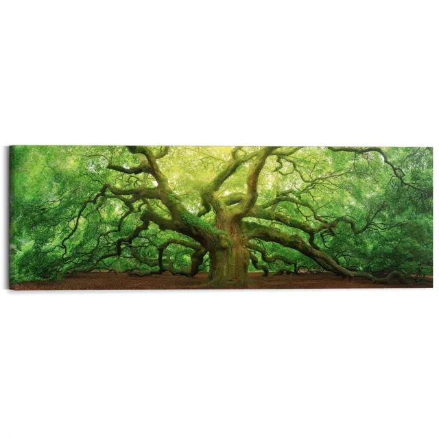 Reinders Schilderij Oude eik - 40 x 118 - Hout - REINDERS