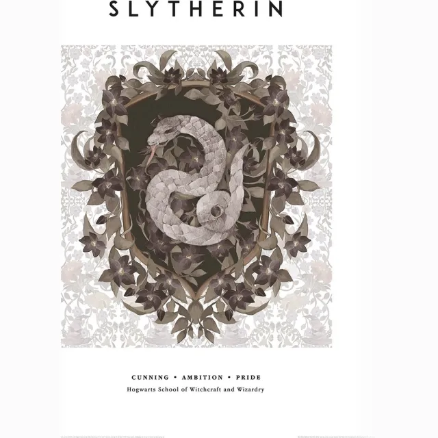Harry Potter Slytherin Crest Art Print 30x40cm | Poster Multi color
