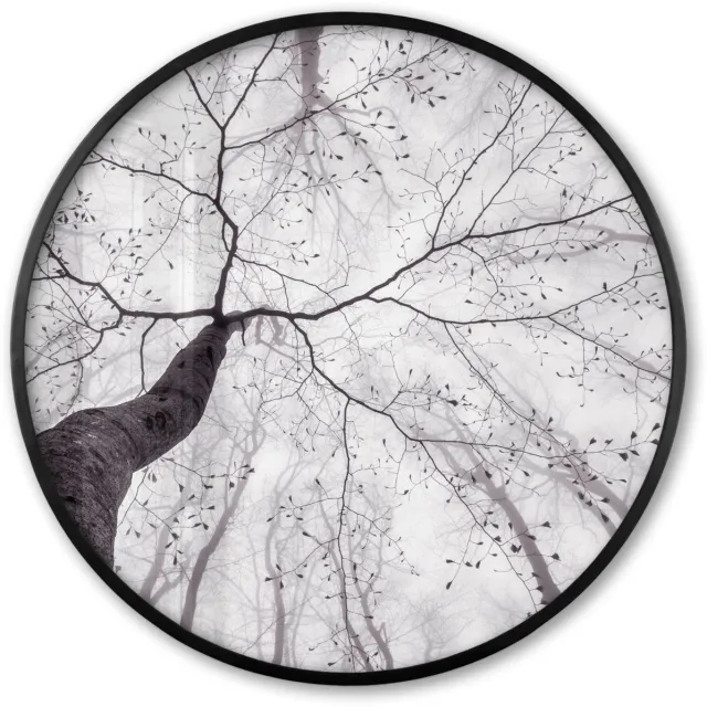 FrameYourWall Poster in lijst Rond - Fotolijst 80x80 cm - Posters - Boom - Takken - Bladeren - Mist - Ronde posterlijst zwart - Decoratie - Wanddecoratie woonkamer - Muurdecoratie slaapkamer