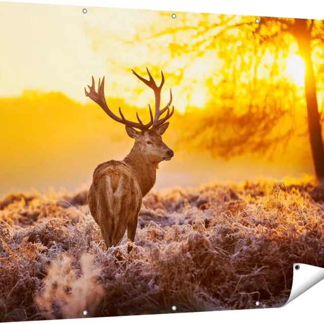 Gards Tuinposter Hert in Bos tijdens de Zonsopkomst - 160x120 cm - Tuindoek - Tuindecoratie - Wanddecoratie buiten - Tuinschilderij Multikleur