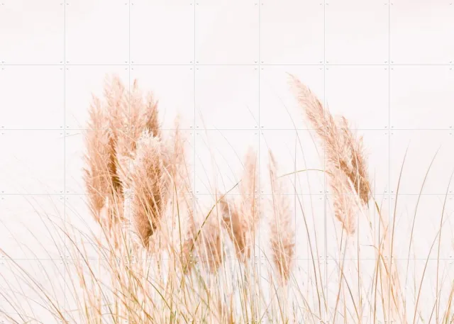 IXXI Pampas Grass, Ingrid Beddoes - 140 x 100 cm - Grote wanddecoratie en posters - Fotografie, Minimalisme, Slaapkamer, Woonkamer, Natuur, Planten Roze / Beige