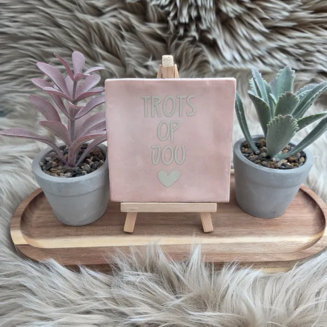 CreaCraft Robuust Wenstegeltje “Trots op Jou” – Lief Cadeautegeltje met Hartje – Trendy nu – Geslaagd – Vriend(in) – Familie – Gezin – Zomaar – Cadeau – Geslaagd – Decoratief Tegeltje met Standaard – Cadeau Idee zalmroze/beige