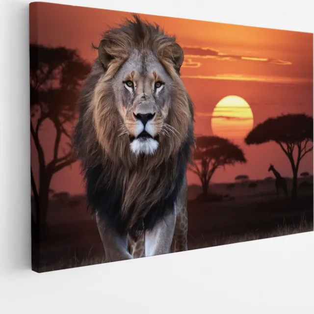Saammp Canvas Schilderij - Leeuw met afrikaanse zonsondergang - Dieren - Natuur - 45x30 - Foto op canvas - Wanddecoratie - Muurdecoratie Woonkamer - Slaapkamer decoratie - Canvas Print Multicolor