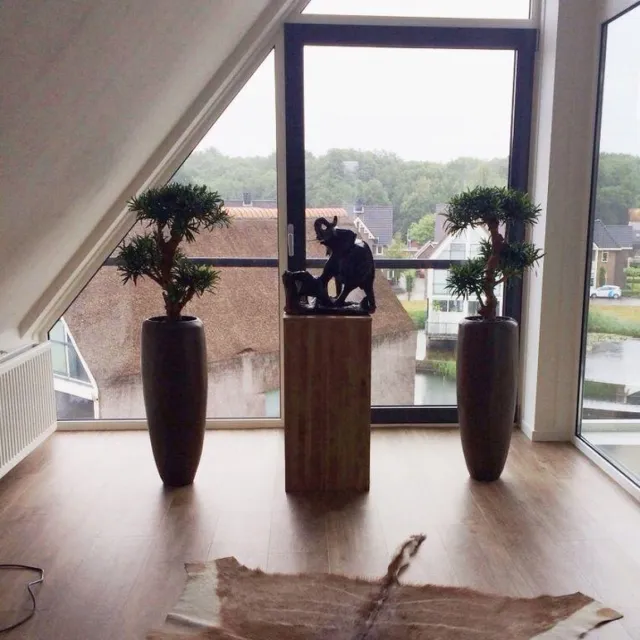 maxifleur Kunstplanten Podocarpus kunstbonsai boom deluxe op voet 65cm groen