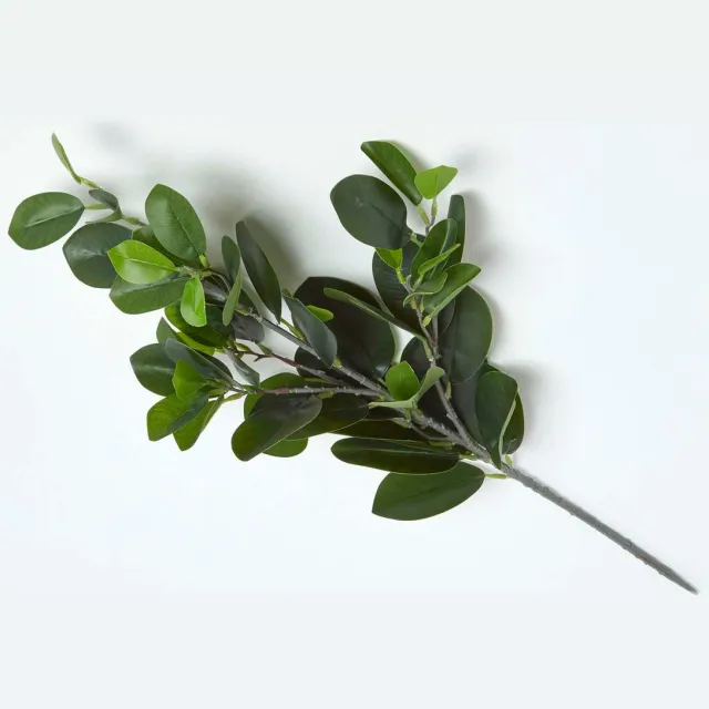 Homescapes Decoratieve kunsttak van rubberboom, 58 cm hoog Groen