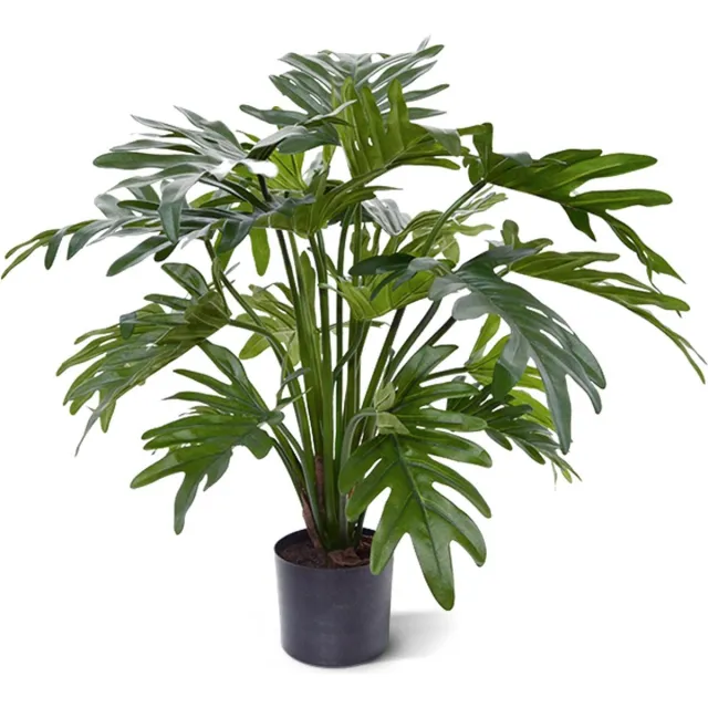 maxifleur Kunstplanten Philodendron Xanadu kunstplant 50cm Groen
