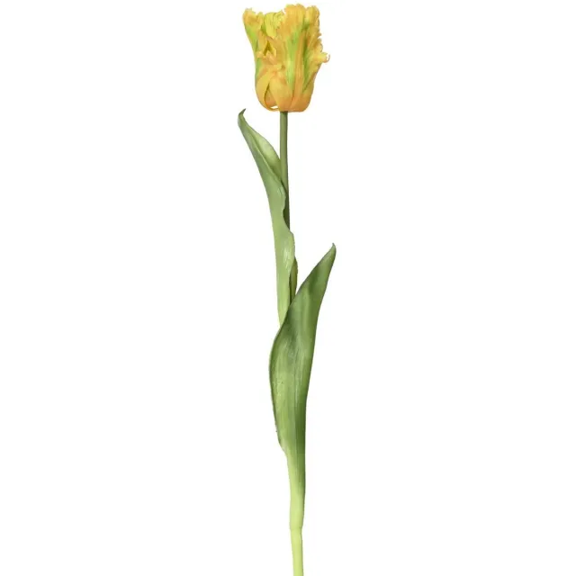 Kaemingk Everlands Papegaaitulp Geel & Groen Ø 6 cm 51 cm - Kunstbloemen